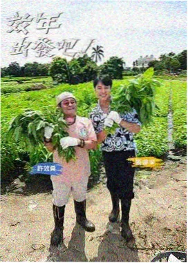 ck免费影视大全 奔跑吧